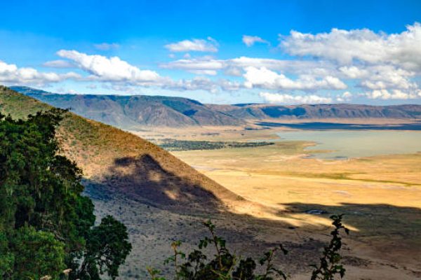 Ngorongoro in tanzania wild animals faune sauvage