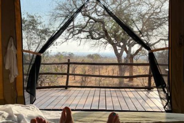 Relaxing and enjoying the view of the savannah in Tarangire National Park in Tanzania, Africa