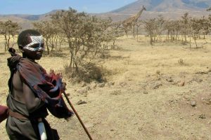 rick-hardabura-xwdXhSlCUPw-unsplash