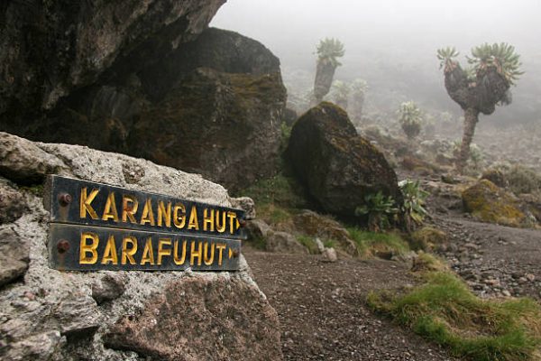 Mt Kilimanjaro climbing expedition in Tanzania, Africa